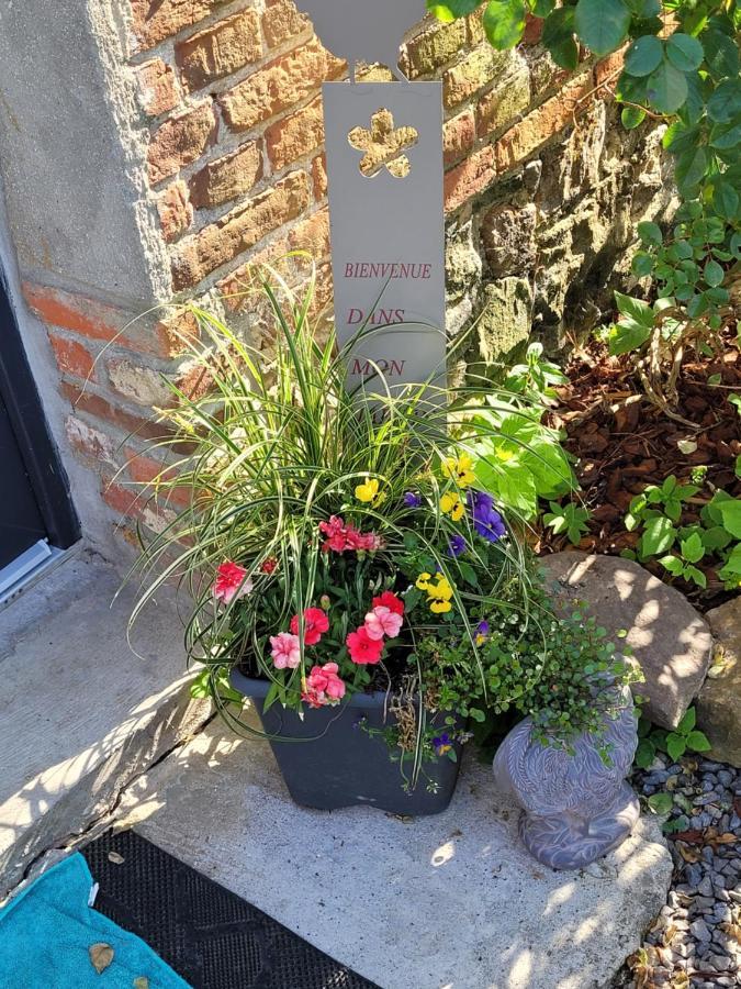 Studio Bienvenue Du Cote De Chez Nous Avec Jardin Privatif Wignehies Exteriér fotografie