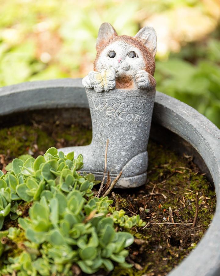 Studio Bienvenue Du Cote De Chez Nous Avec Jardin Privatif Wignehies Exteriér fotografie