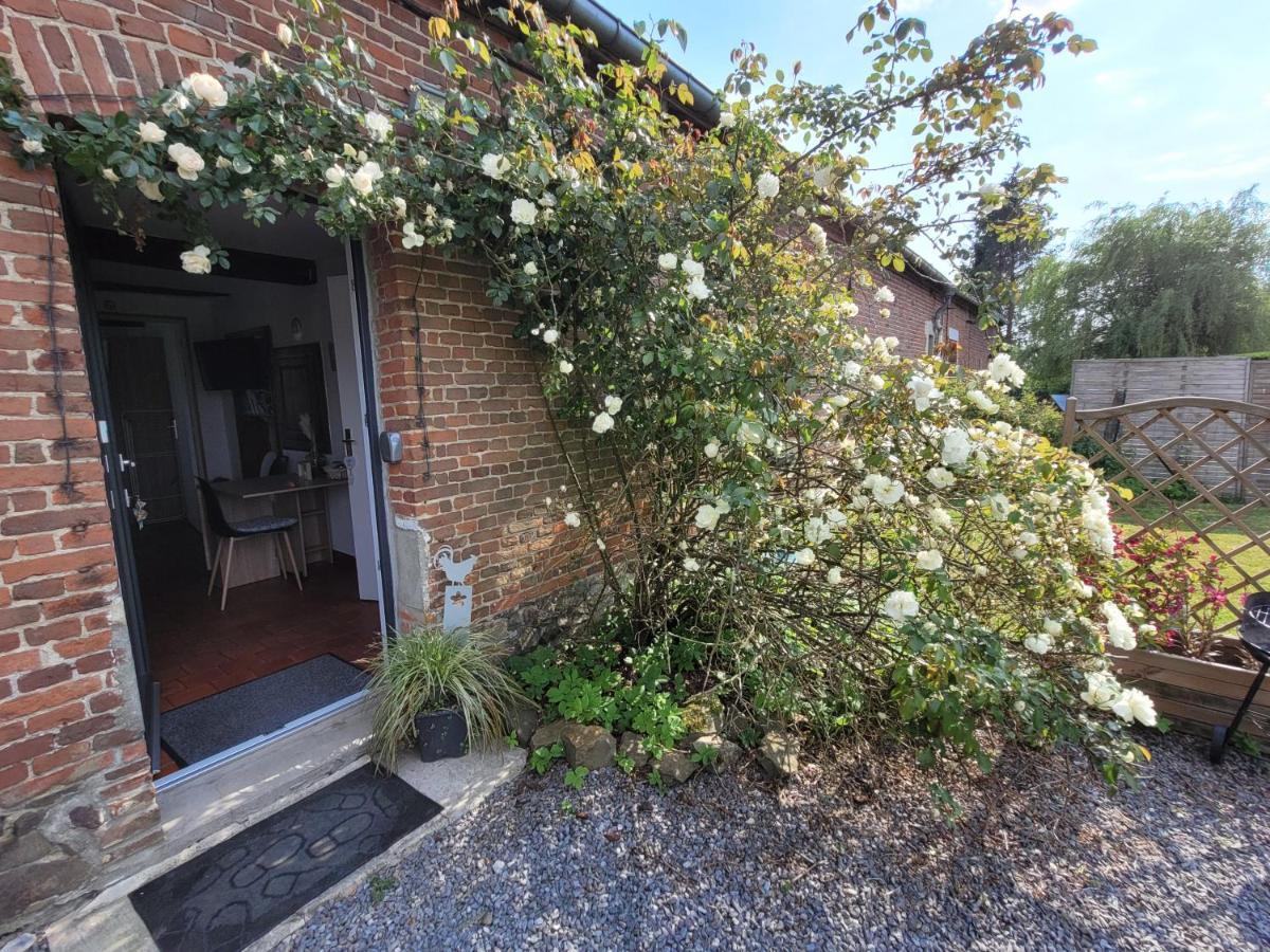 Studio Bienvenue Du Cote De Chez Nous Avec Jardin Privatif Wignehies Exteriér fotografie