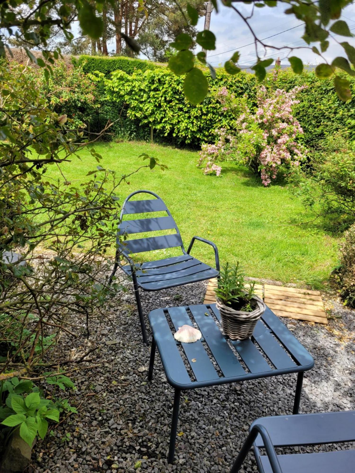Studio Bienvenue Du Cote De Chez Nous Avec Jardin Privatif Wignehies Exteriér fotografie