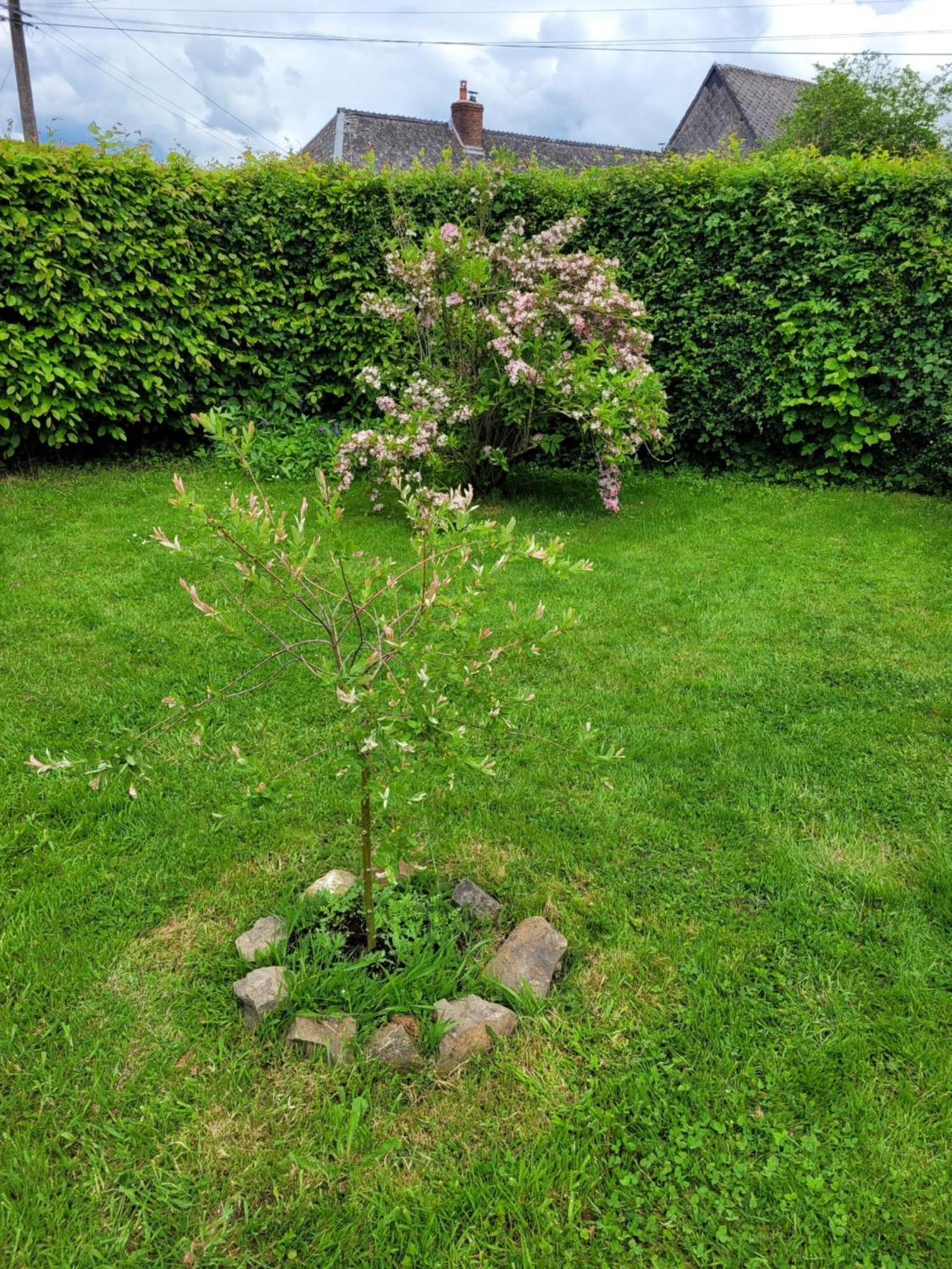 Studio Bienvenue Du Cote De Chez Nous Avec Jardin Privatif Wignehies Exteriér fotografie